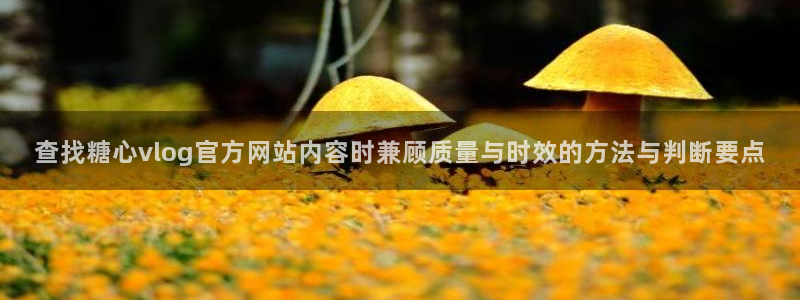 糖心vlog 免费