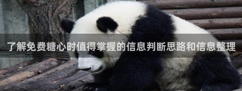 糖心网站入口