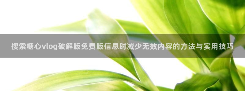 唐伯虎糖心vlog