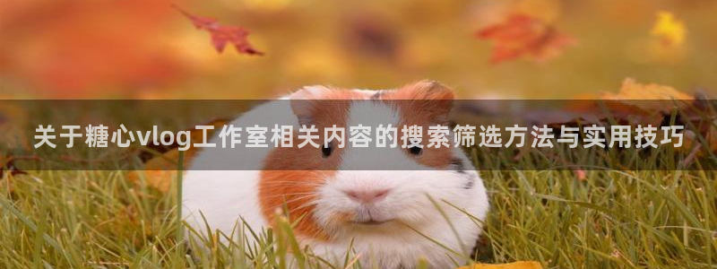 糖心vlog在线免费观看