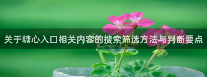 在线观看糖心:关于糖心入口相关内容的搜索筛选方法与判断要点