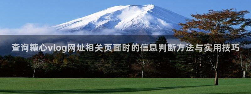 糖心破解版下载安装:查询糖心vlog网址相关页面时的信息判断方法与实用技巧