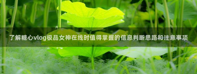 糖心网站在线观看