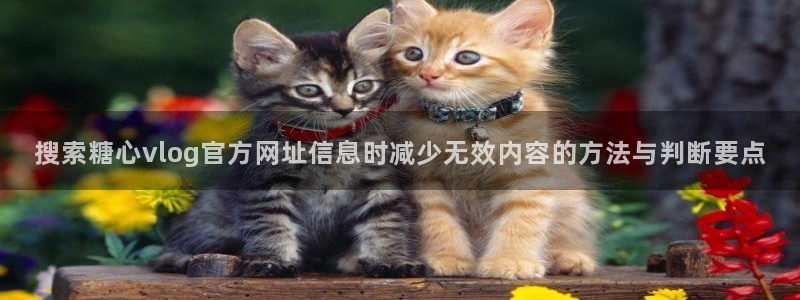 糖心网页版