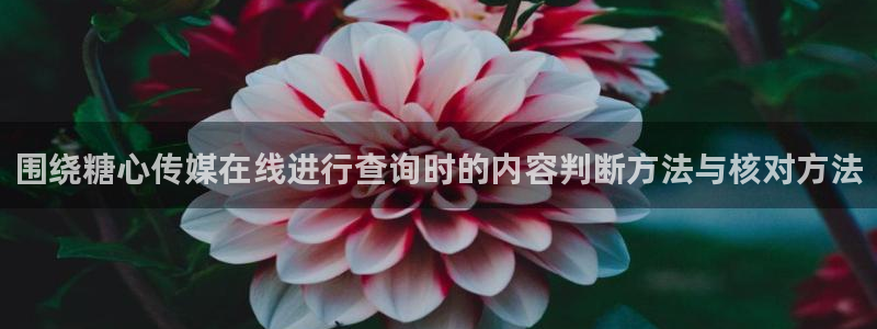 糖心logo网站：围绕糖心传媒在线进行查询时的内容判断方法与核对方法